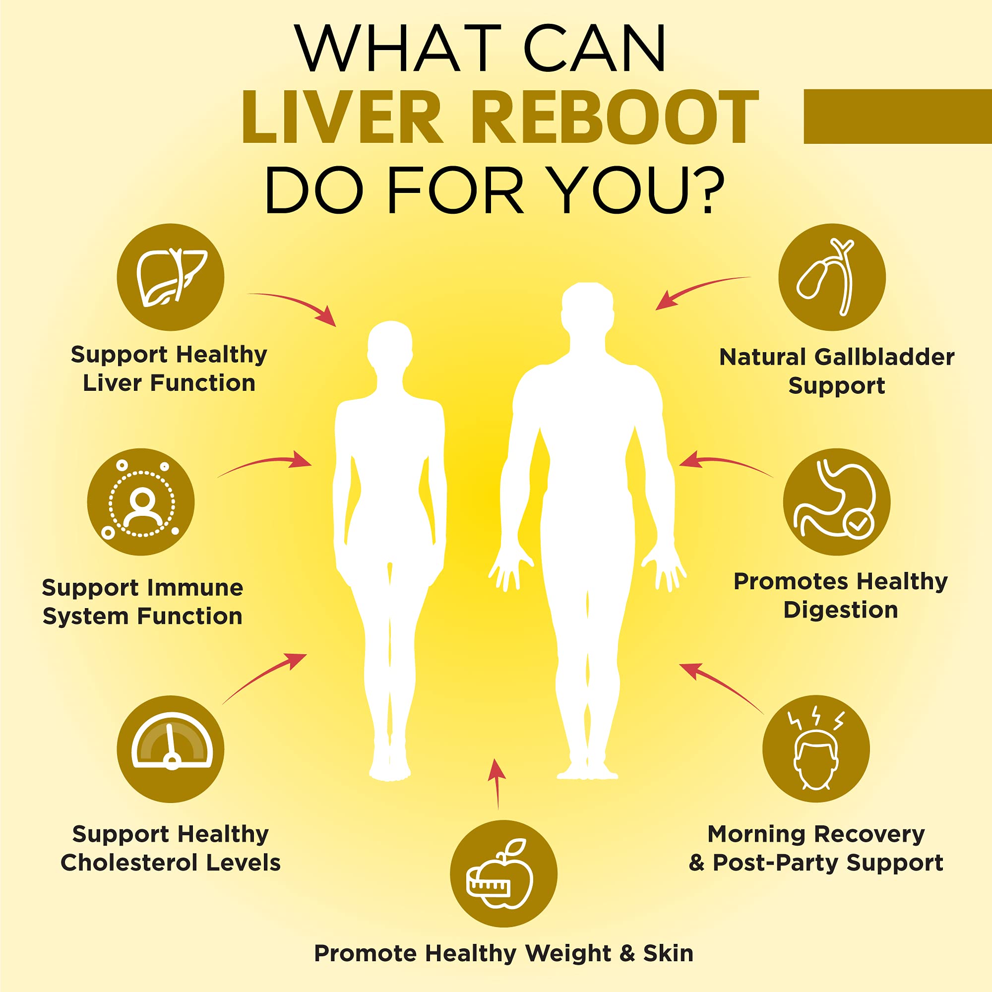 OmniBiotics artichoke-extract-visual: showcases a modern detox support concept.