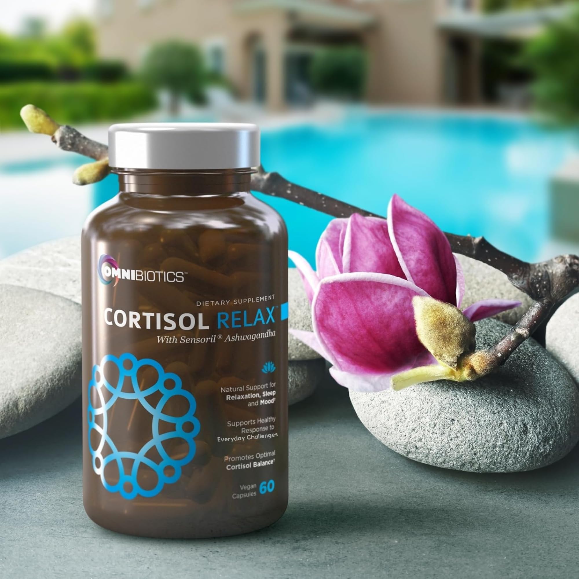 Ingredient panel of OmniBiotics Cortisol showing ashwagandha and L-theanine