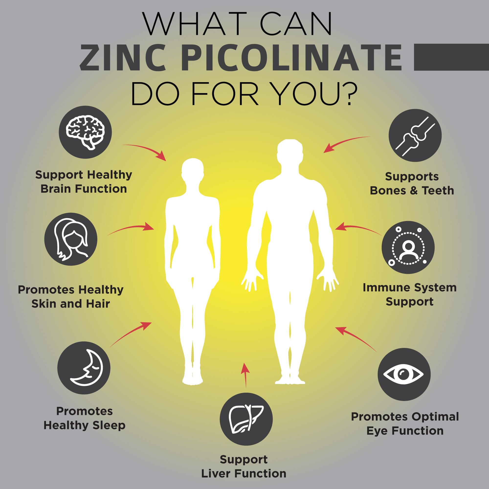 OmniBiotics Zinc Picolinate daily-use shot with a meal.