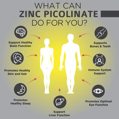 OmniBiotics Zinc Picolinate daily-use shot with a meal.