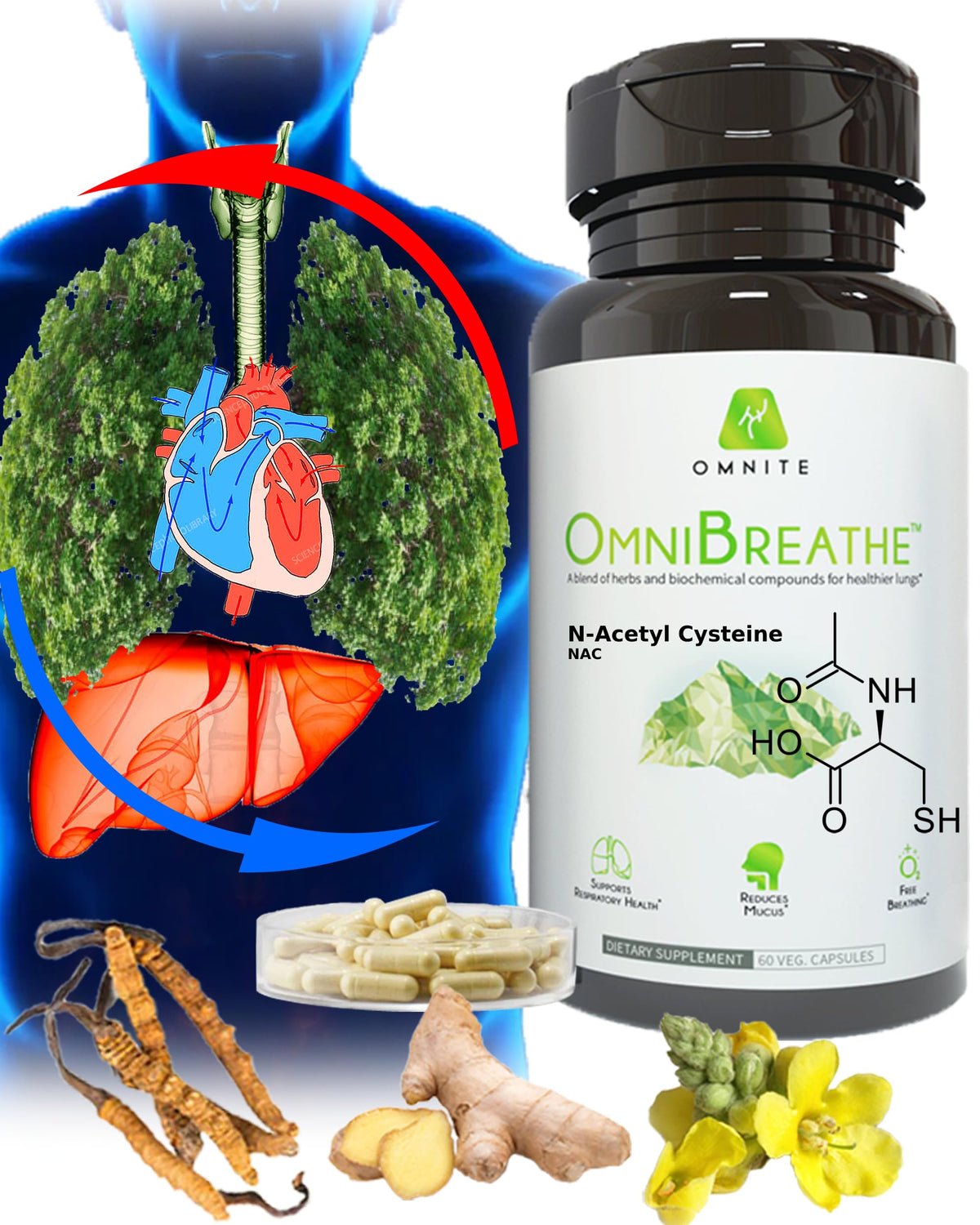 Omnite asthma relief bottle shown for daily respiratory support.