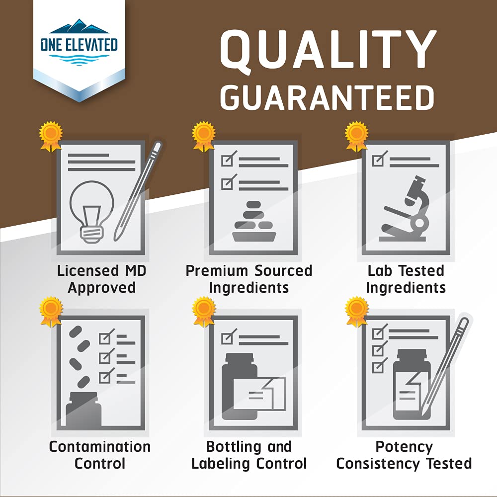 One Elevated Bone Builder GMP seal signals rigorous quality checks.