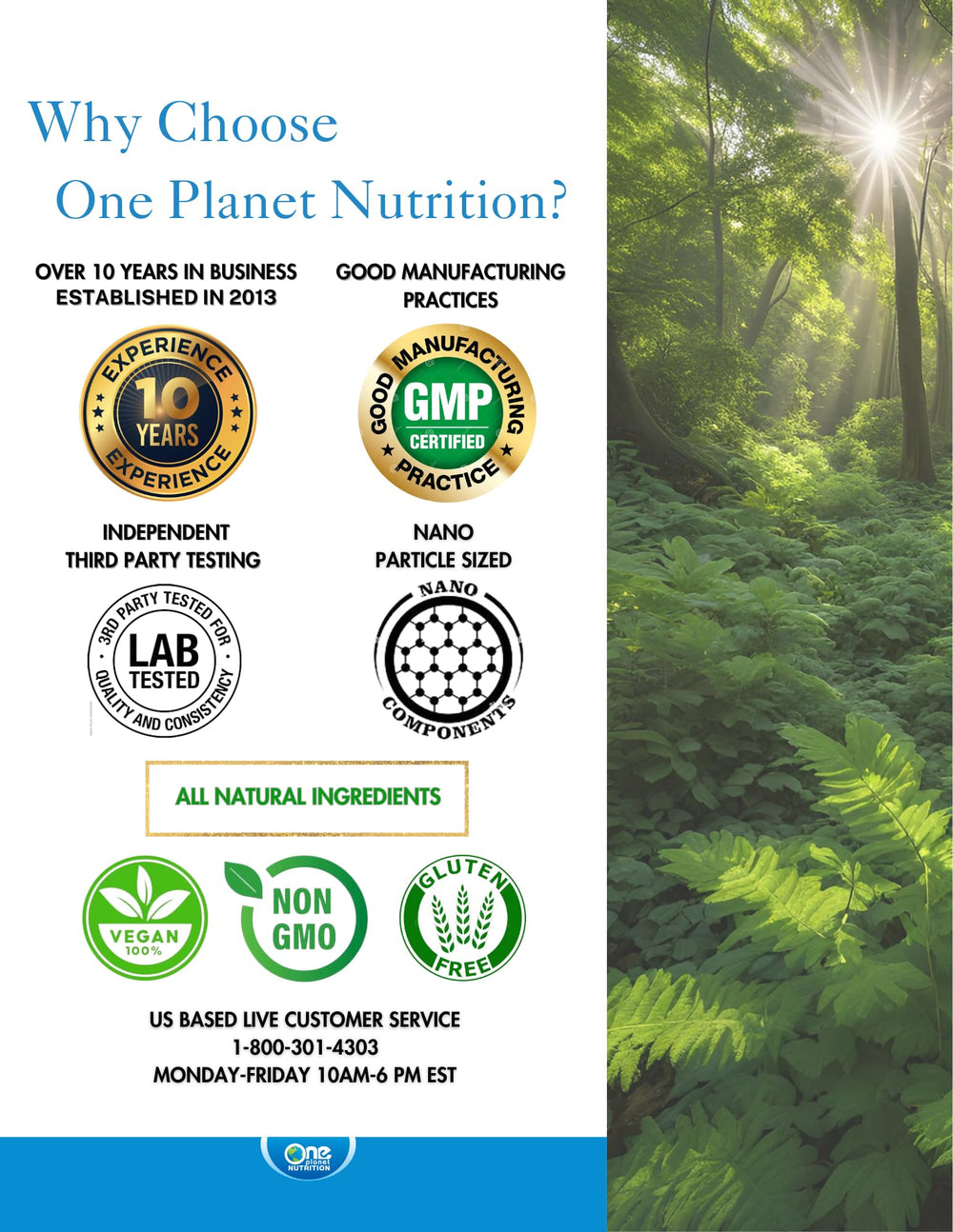 One Planet Nutrition Nano Curcumin Plus ingredients icons highlight vegan and non-GMO formula