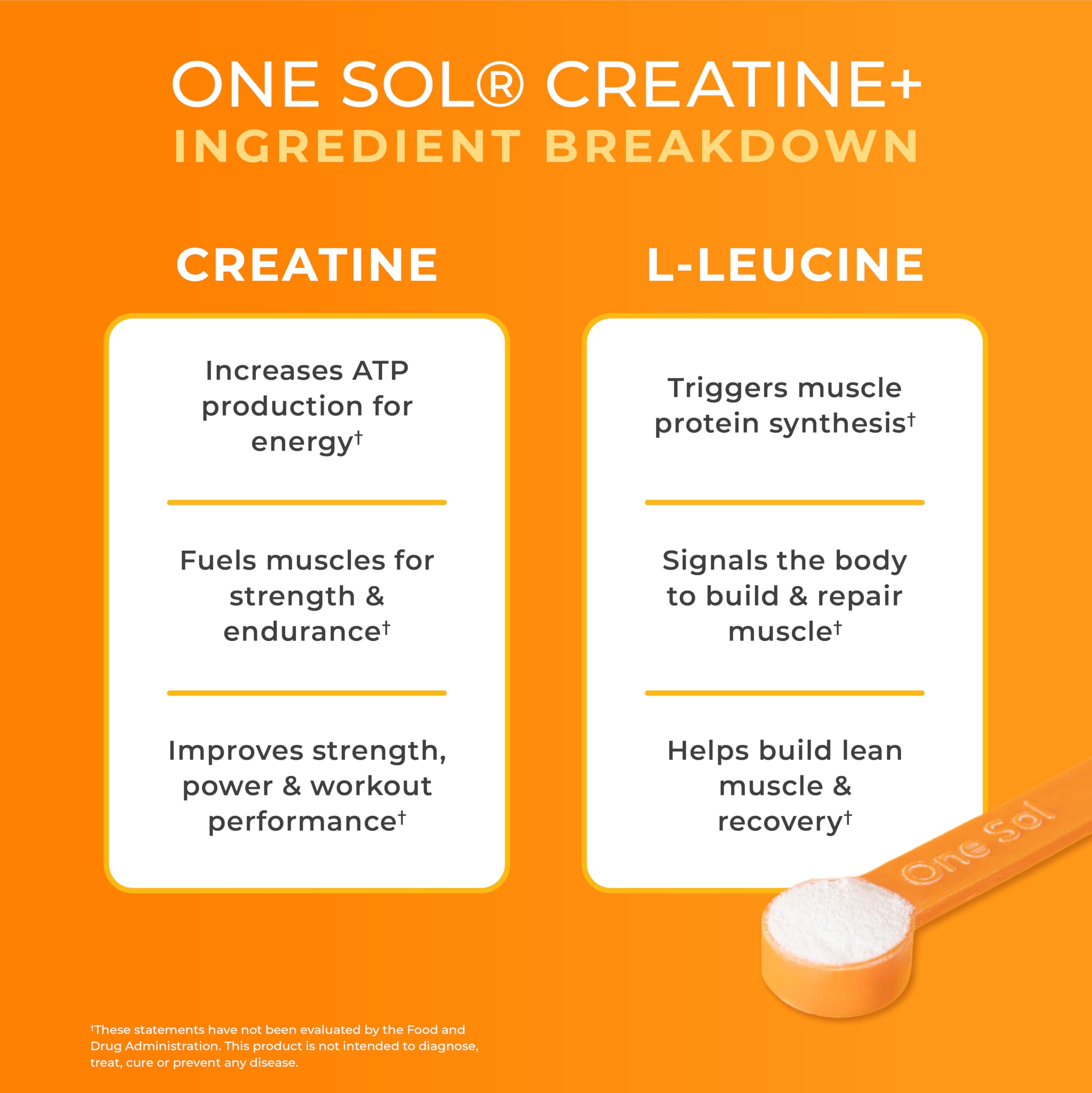One Sol Creatine for Women packaging on shelf communicates premium quality.