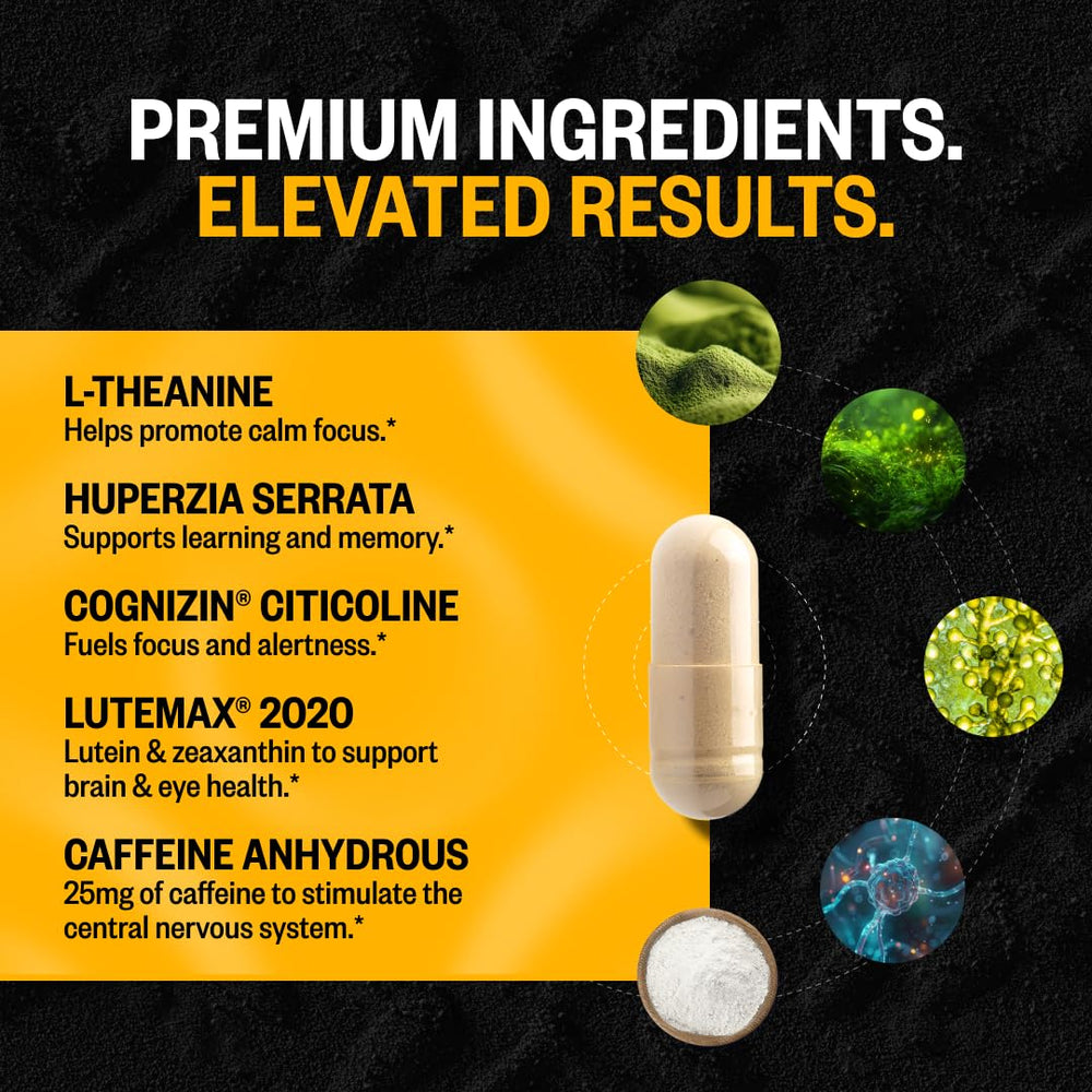 Lutemax blend highlight within Alpha Brain for eye-support considerations.