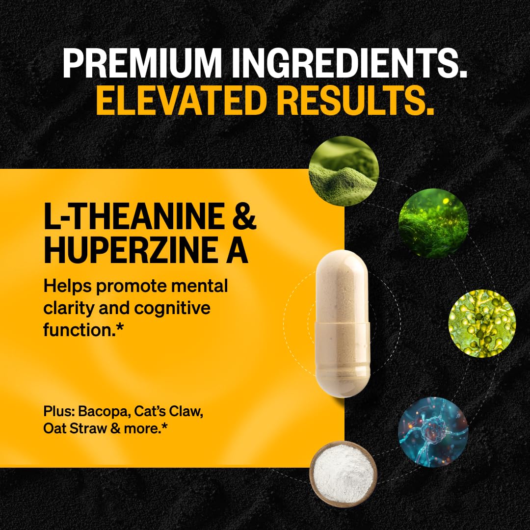 ONNIT Alpha Brain packaging signaling a premium caffeine-free nootropic option