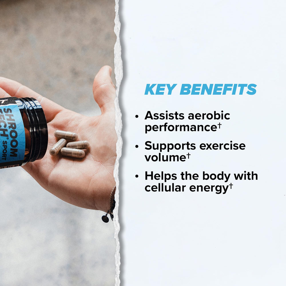 ONNIT Shroom Tech SPORT ingredients cordyceps spotlight for energy support