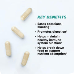 ONNIT Total Gut Health packaging shows seven probiotic strains on label.