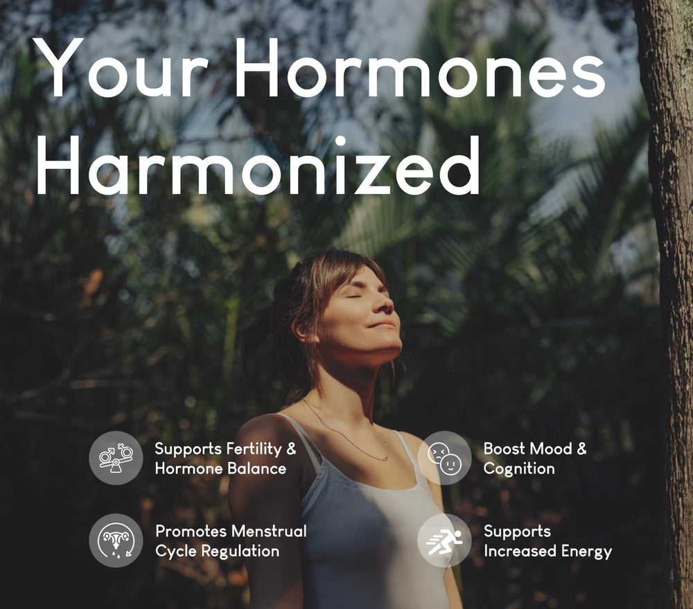 Optimal Carnivore fallopian tubes focus capsule encouraging balanced cycles and vitality.
