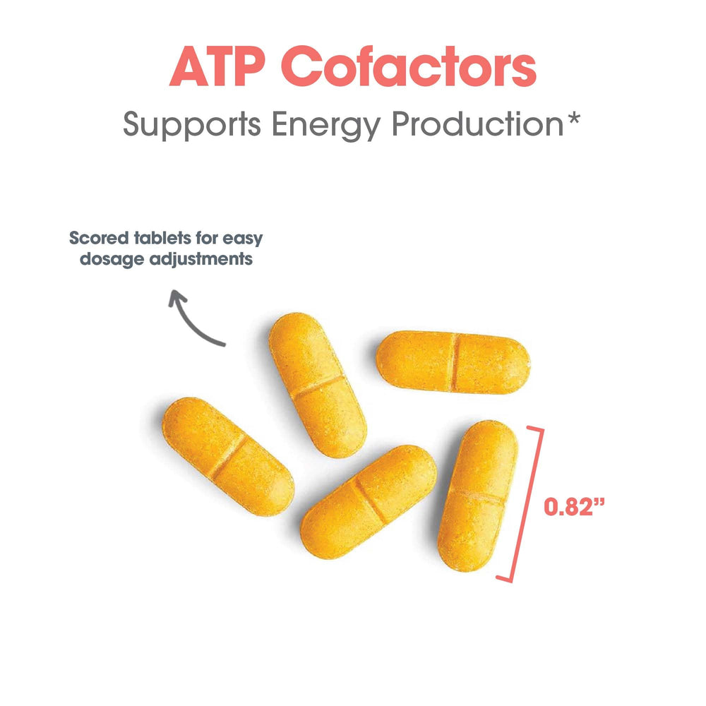 Optimox ATP Cofactors label close-up details B2 and B3 ingredients.