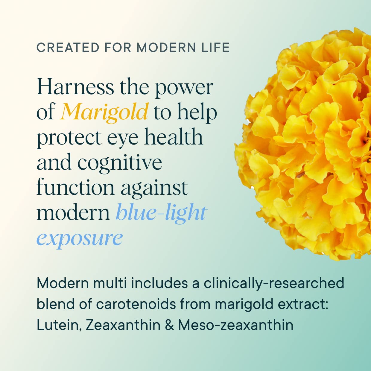 Ora Organic Modern Multivitamin blue-light protection concept during screen time.