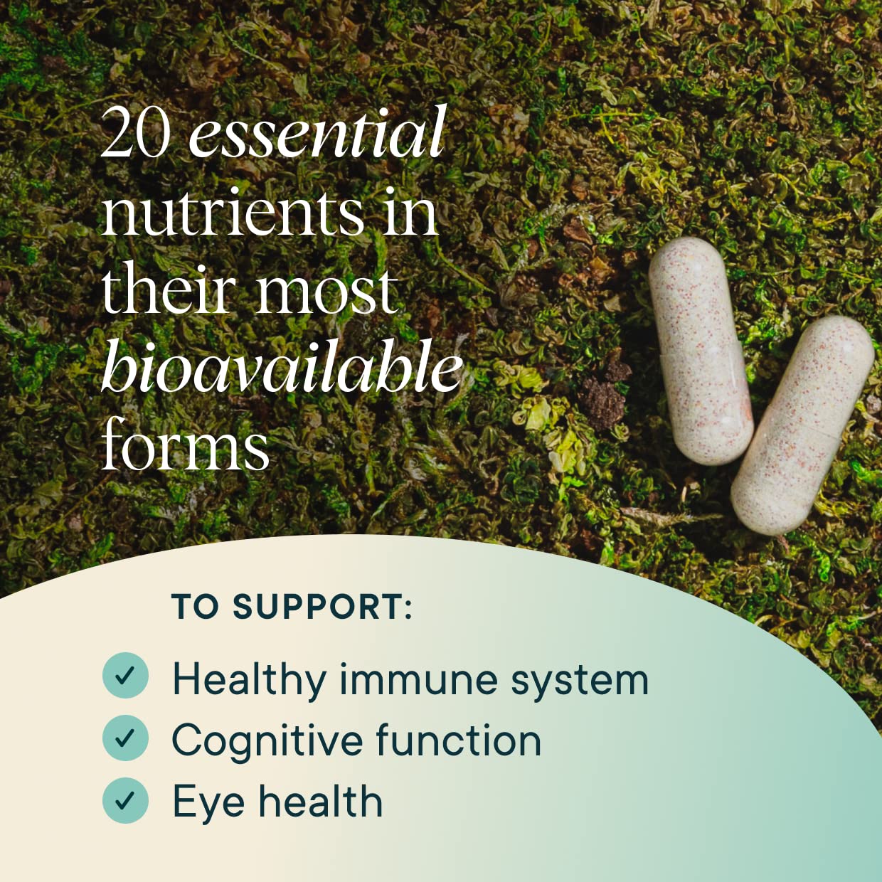 Ora Organic Modern Multivitamin immune-support emphasis on zinc and vitamin D3.