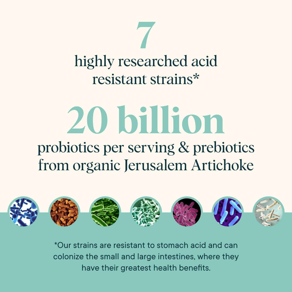 Ora Organic probiotic powder close-up highlighting 20 billion CFU and 7 strains.