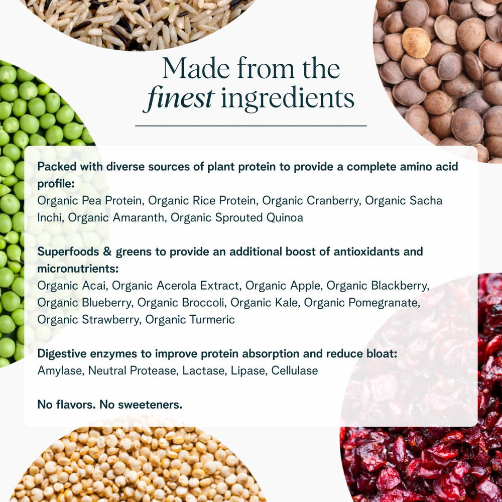 Ora Organic Vegan Protein Powder ingredients graphic highlighting 23 g protein and 16 superfoods.