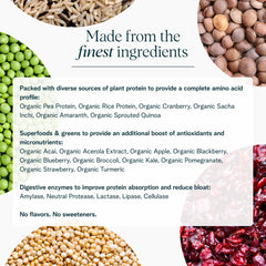 Ora Organic Vegan Protein Powder ingredients graphic highlighting 23 g protein and 16 superfoods.