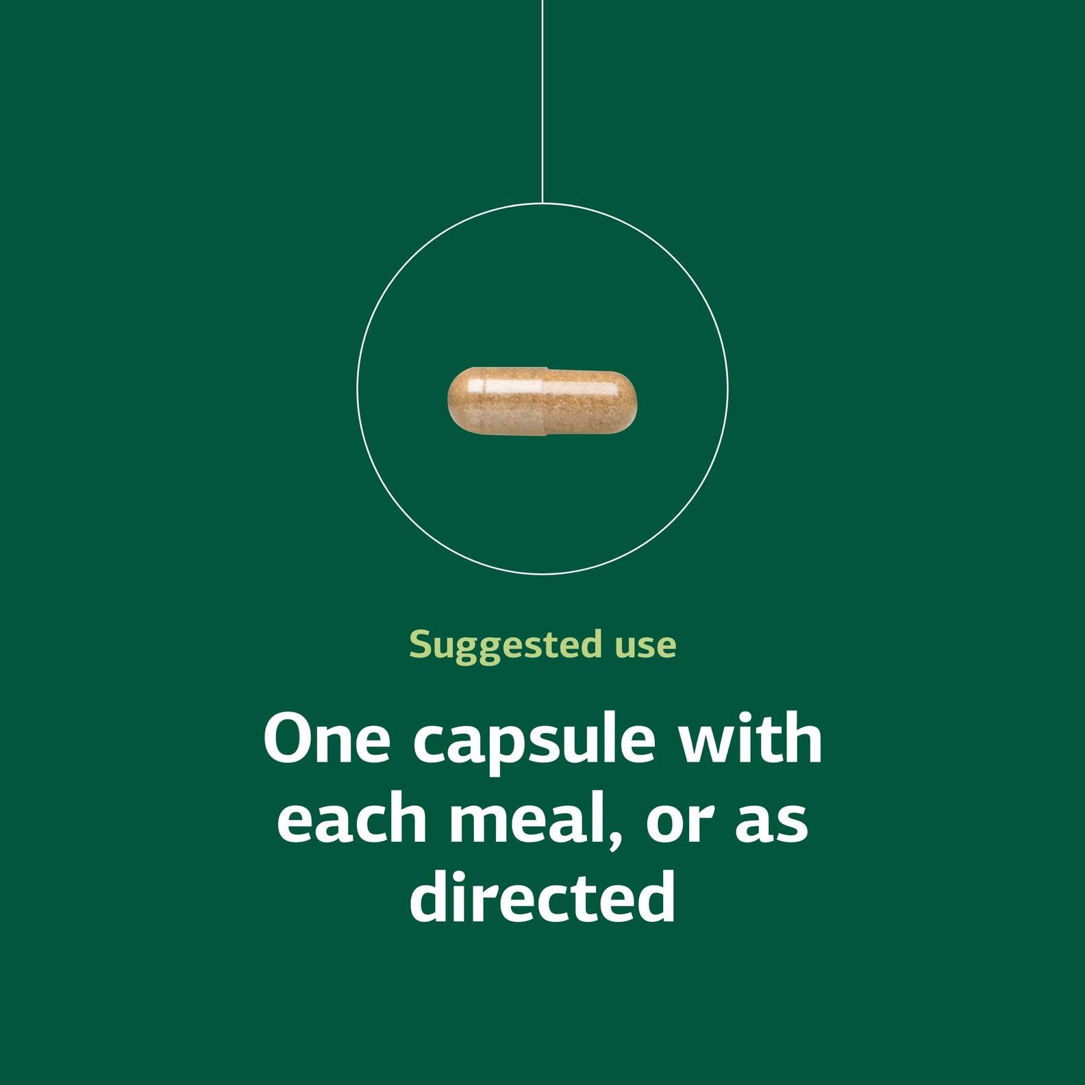 Orchex ingredients calcium lactate close-up illustrates mineral support for nerves.