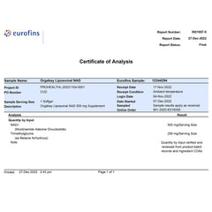 Orgabay Liposomal NAD+ softgel closeup emphasizes high absorption formula