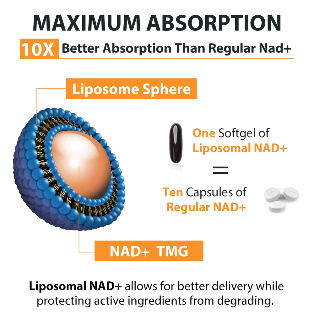 Orgabay Liposomal NAD+ TMG ingredient banner for methylation support