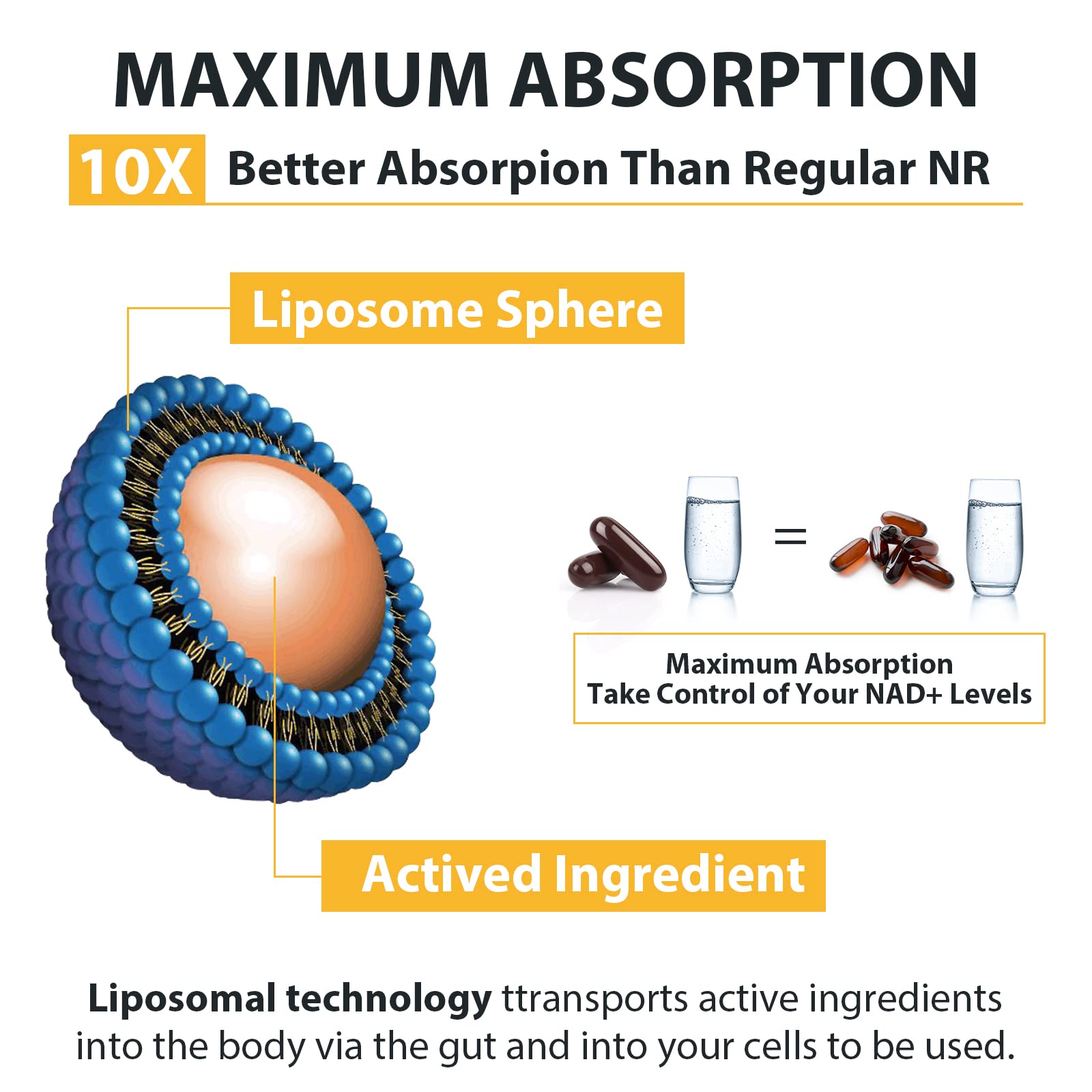 Orgabay pterostilbene ingredient label highlights NAD+ supporting cofactor in the blend