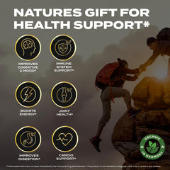 Shilajit gummies Raspberry flavor from Organic In Harmony, a sugar-free option