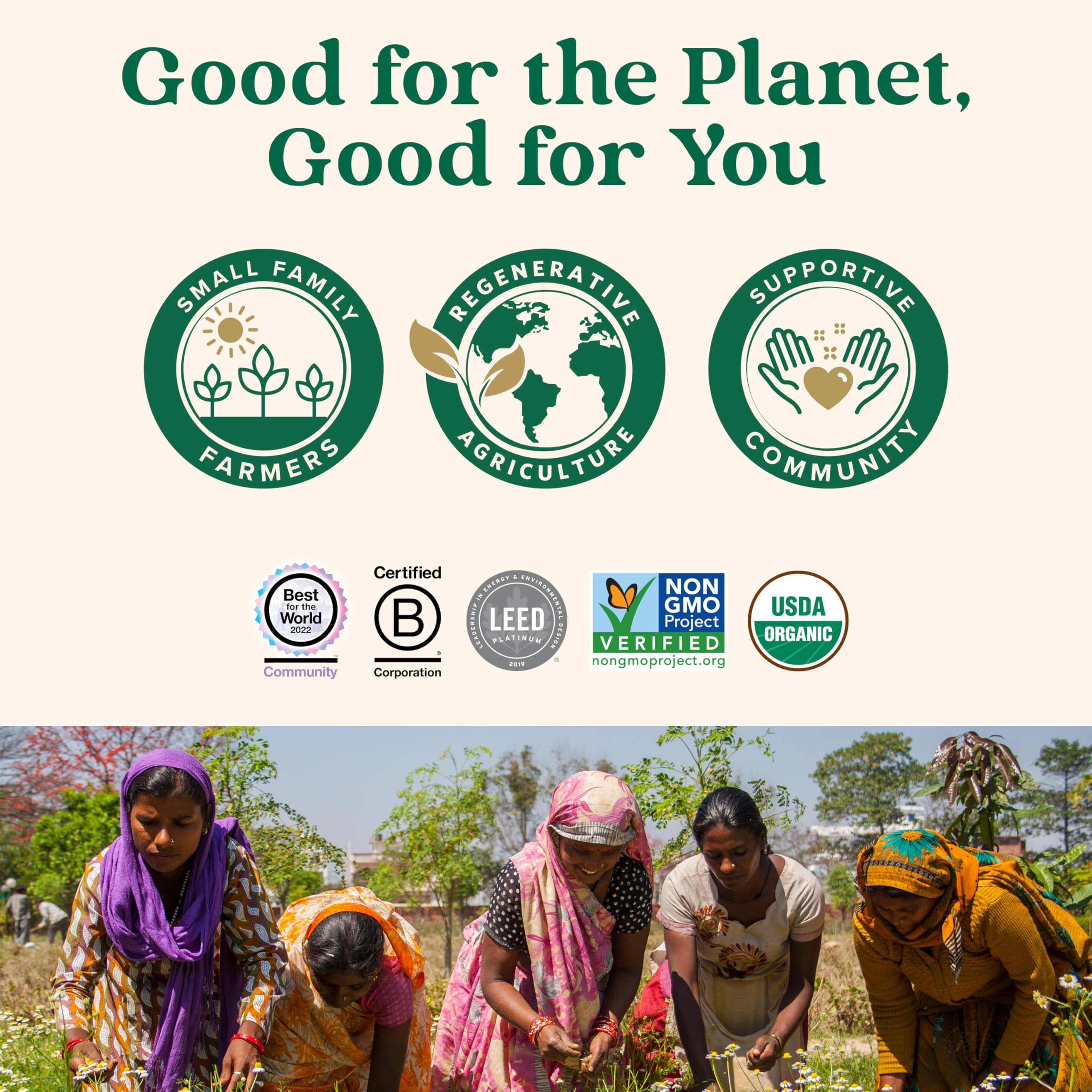 Organic India Amalaki farm image depicting regenerative agriculture practices