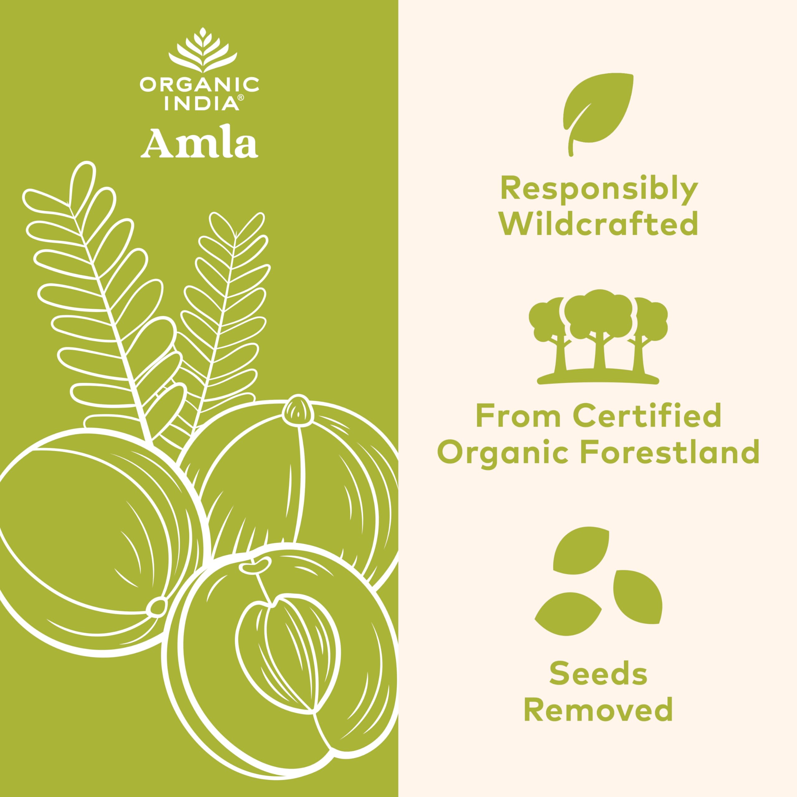 ORGANIC INDIA Amla capsules pour, illustrating simple daily intake for stamina.