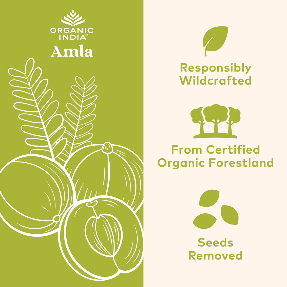ORGANIC INDIA Amla capsules pour, illustrating simple daily intake for stamina.