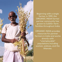 Organic India Amla powder closeup texture emphasizing natural powder and botanical richness.