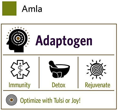 Organic India Amla powder sealed packaging with eco-friendly materials for sustainable use.