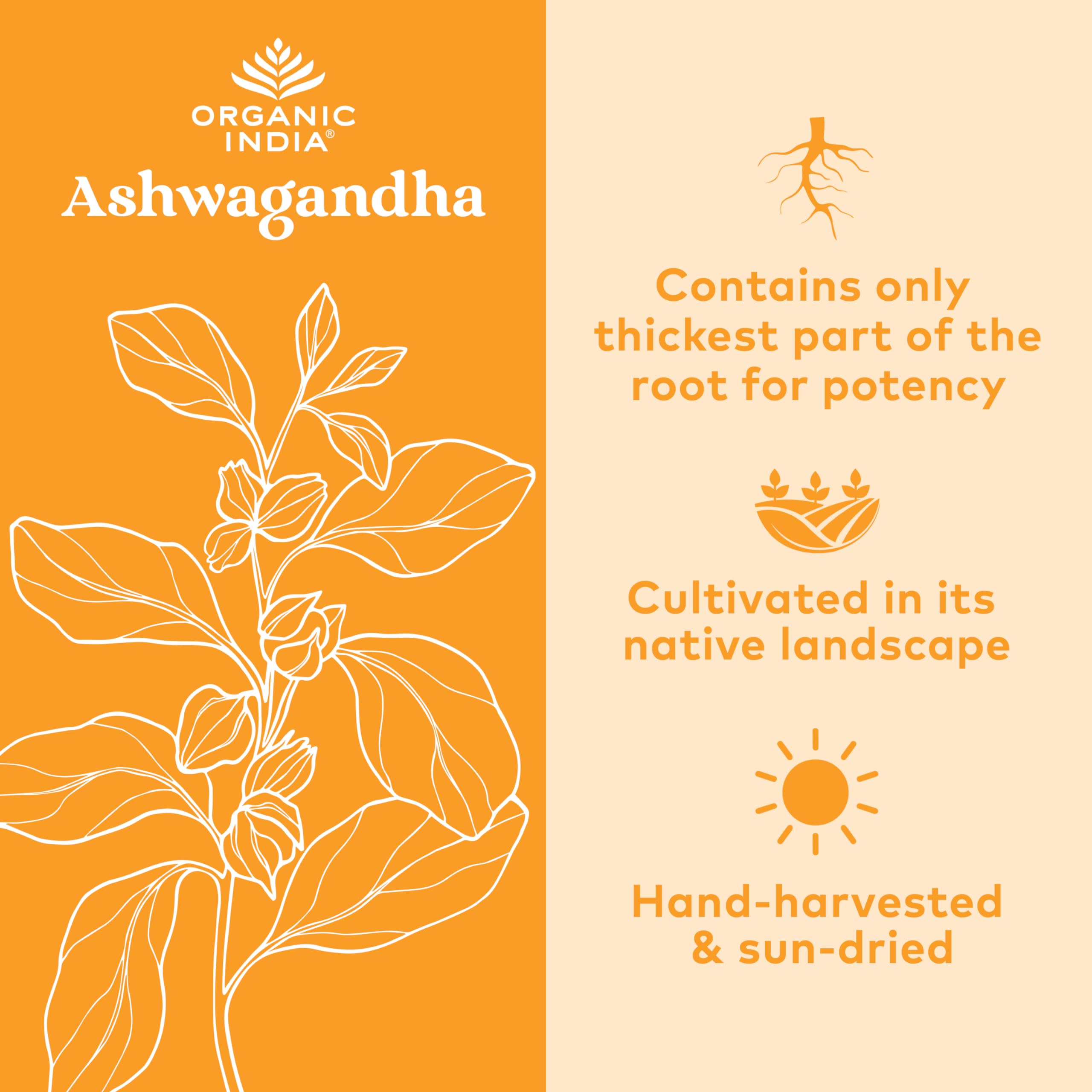 Organic India Ashwagandha capsules closeup of texture and pill