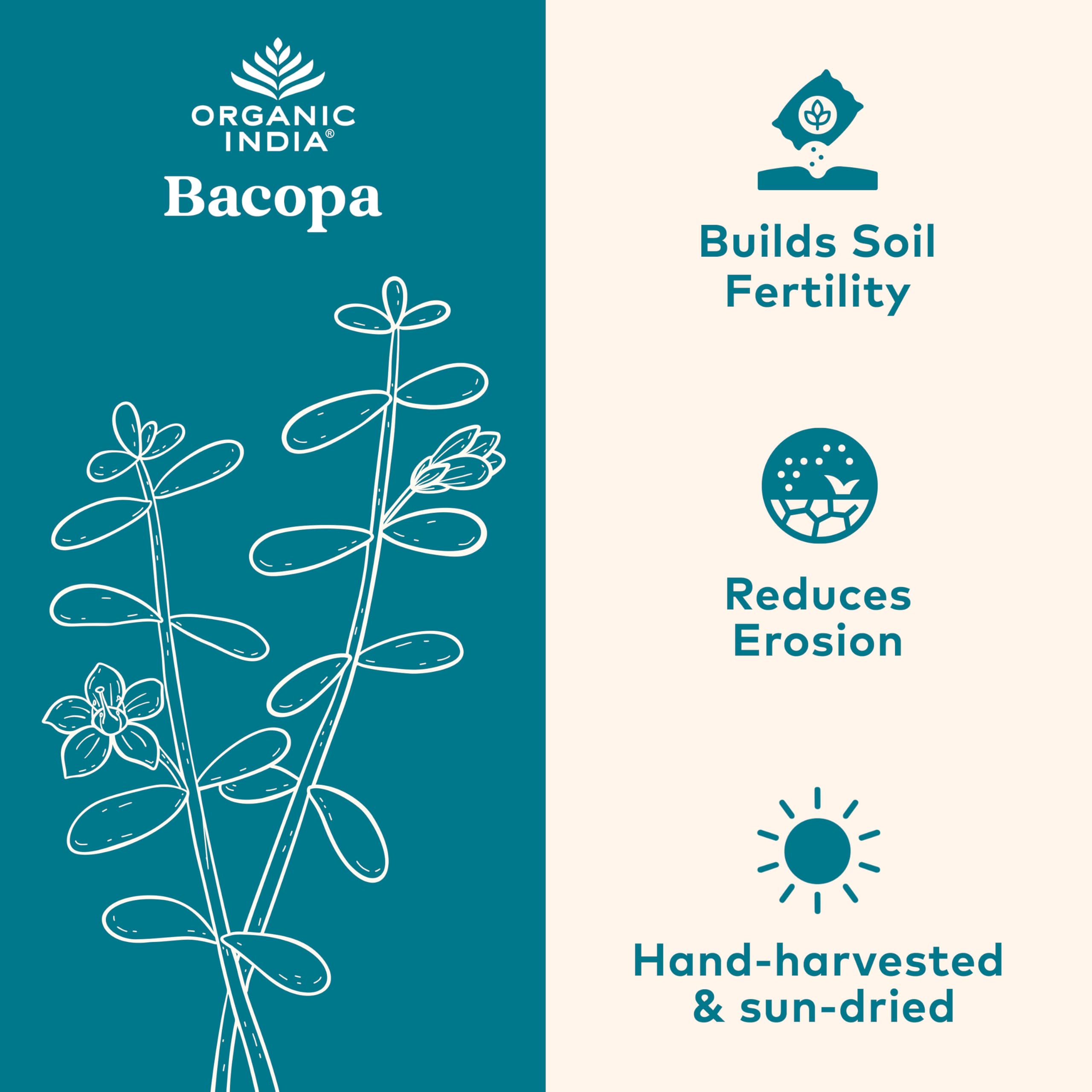 Organic India Bacopa bottle being poured for daily dosing