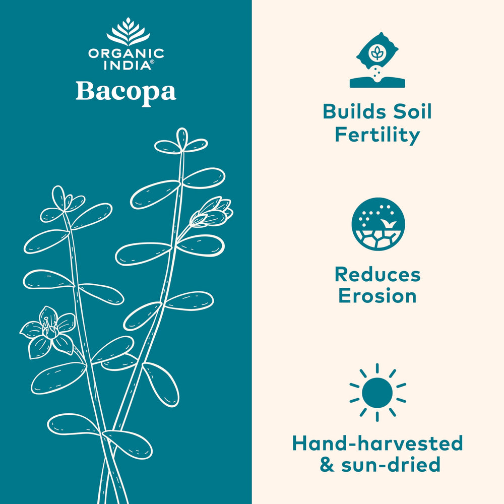 Organic India Bacopa bottle being poured for daily dosing