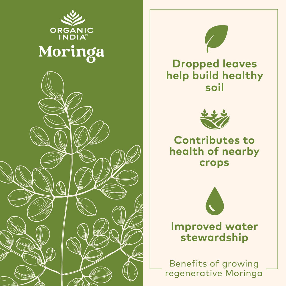 Organic India Chocolate Moringa Latte Powder ingredients list with cacao and moringa