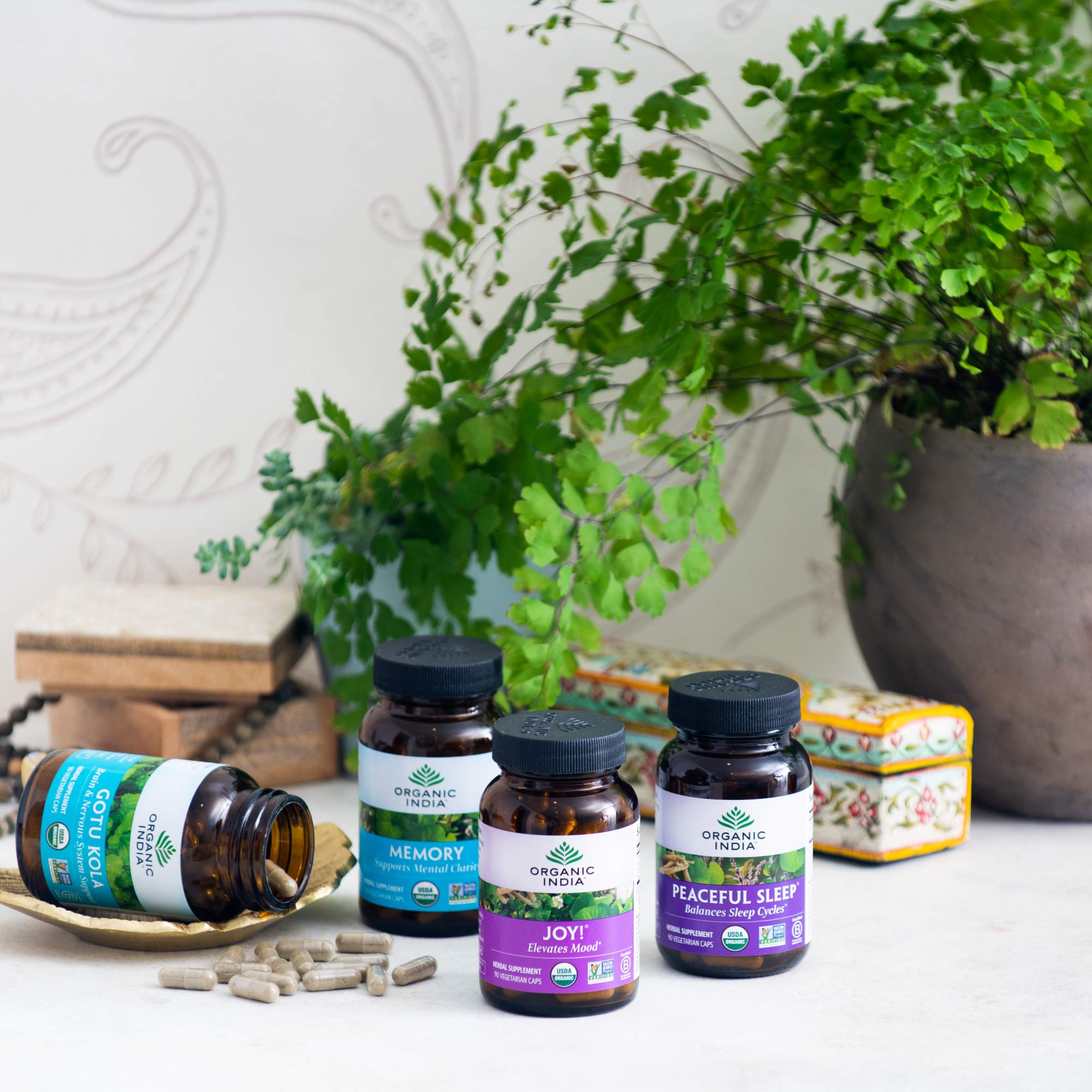 Organic India Memory daily dose infographic showing easy integration into routines