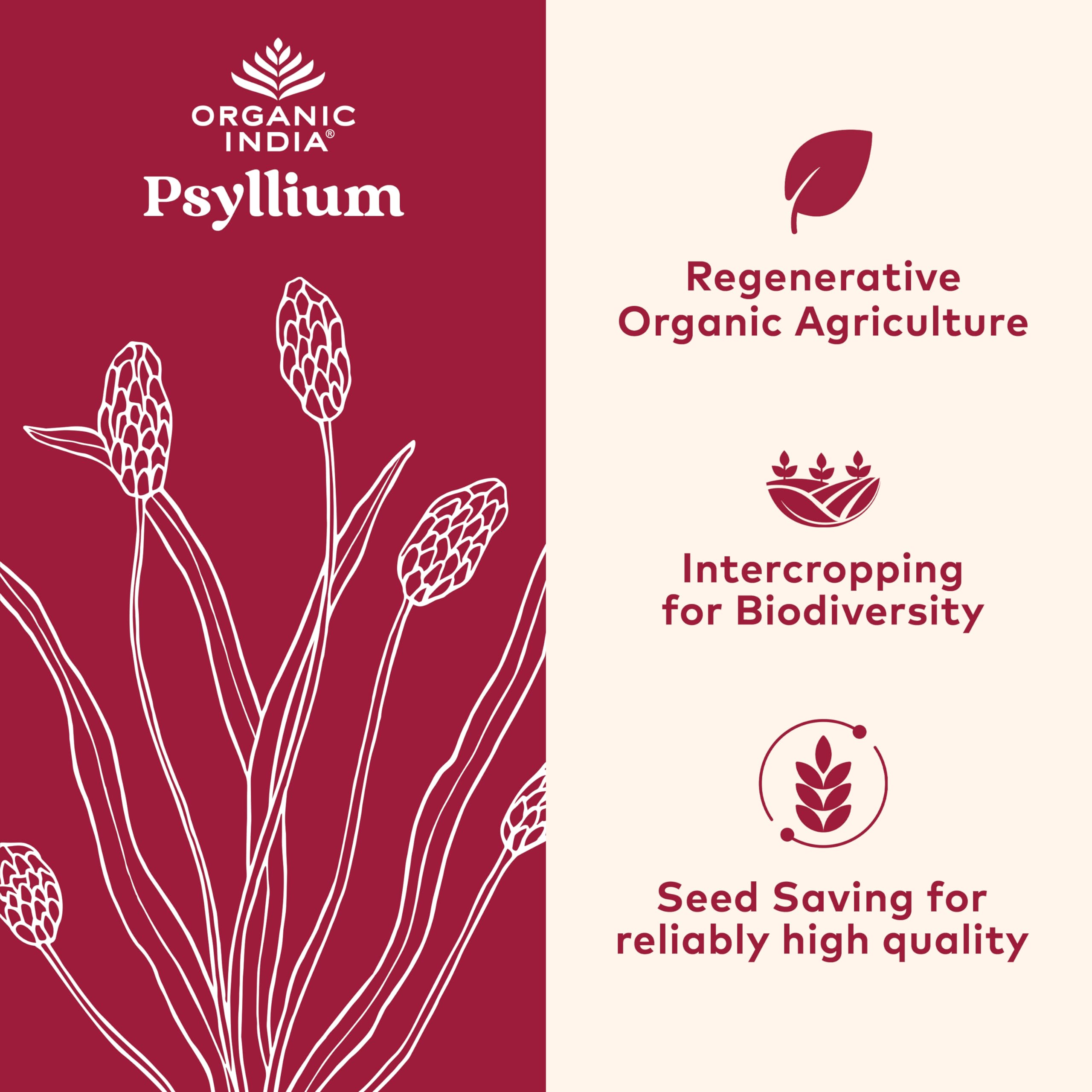 Organic India Psyllium fiber measuring scoops near powder for daily use.