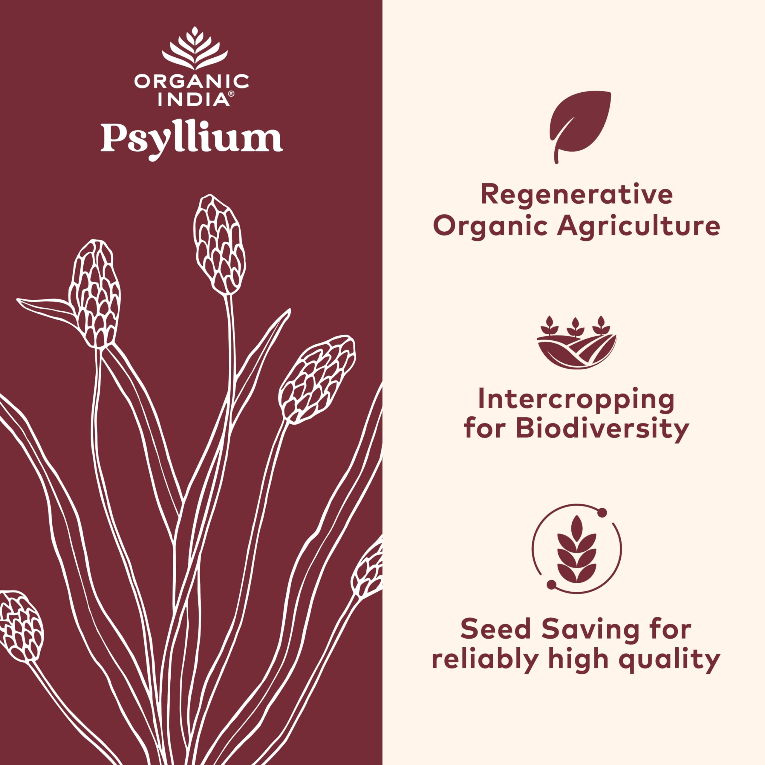 Front label shows Organic India with vegan and organic certification.