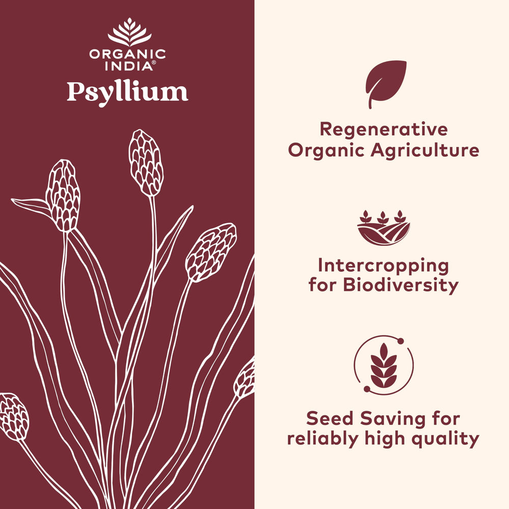 Organic India Psyllium Powder dispensing-scoop enables easy daily measurement.