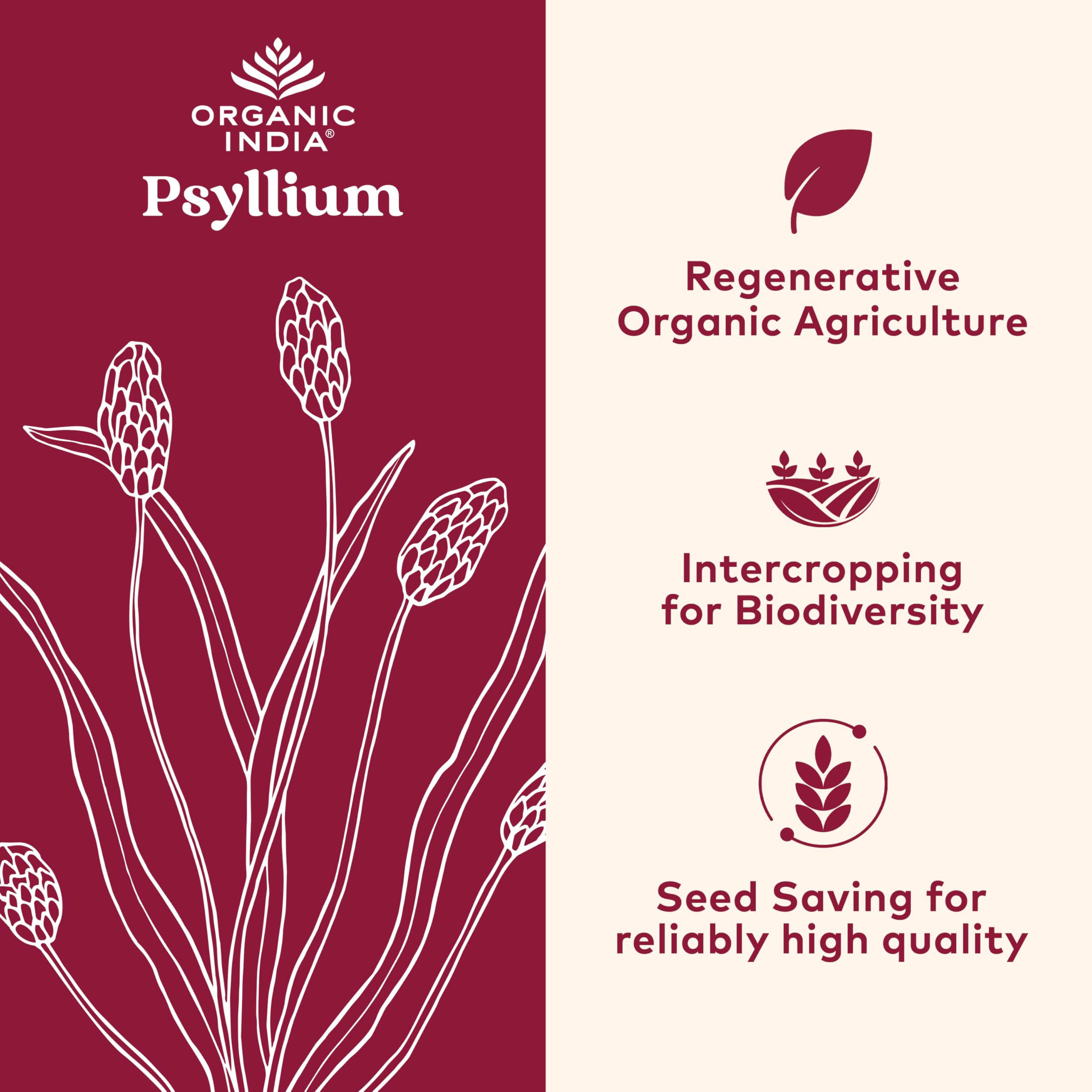 ORGANIC INDIA Psyllium Powder grain closeup highlights finely ground texture aiding easy mixing.