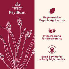 ORGANIC INDIA Psyllium Powder grain closeup highlights finely ground texture aiding easy mixing.