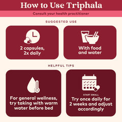 Organic India Triphala herbs close-up highlighting a pure fruit blend rich in antioxidants.
