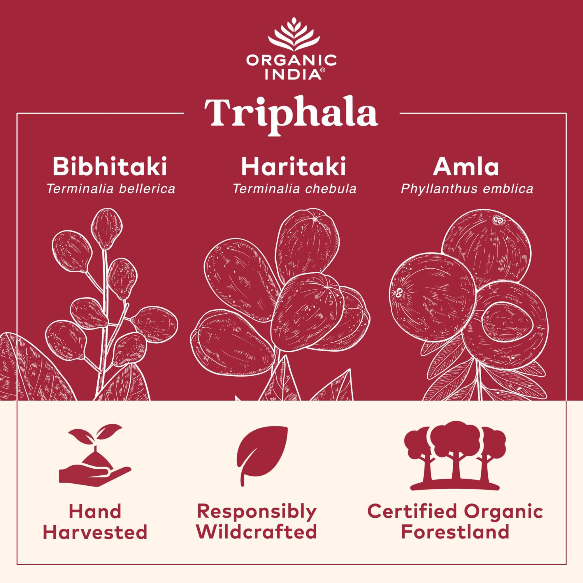 Organic India Triphala label detail showing organic, vegan, and non-GMO verification.