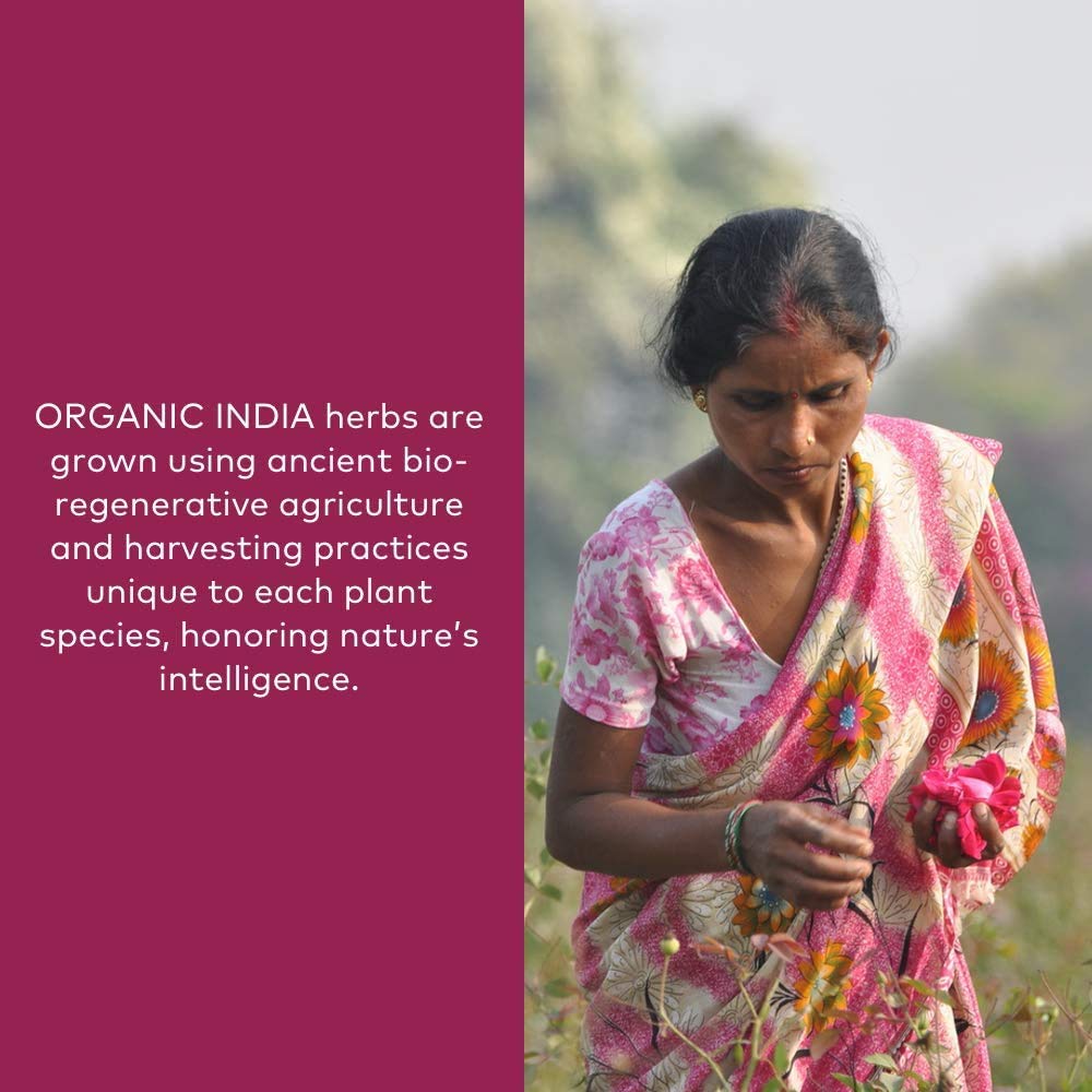 Organic India Triphala measuring spoon with powder ready for dose.