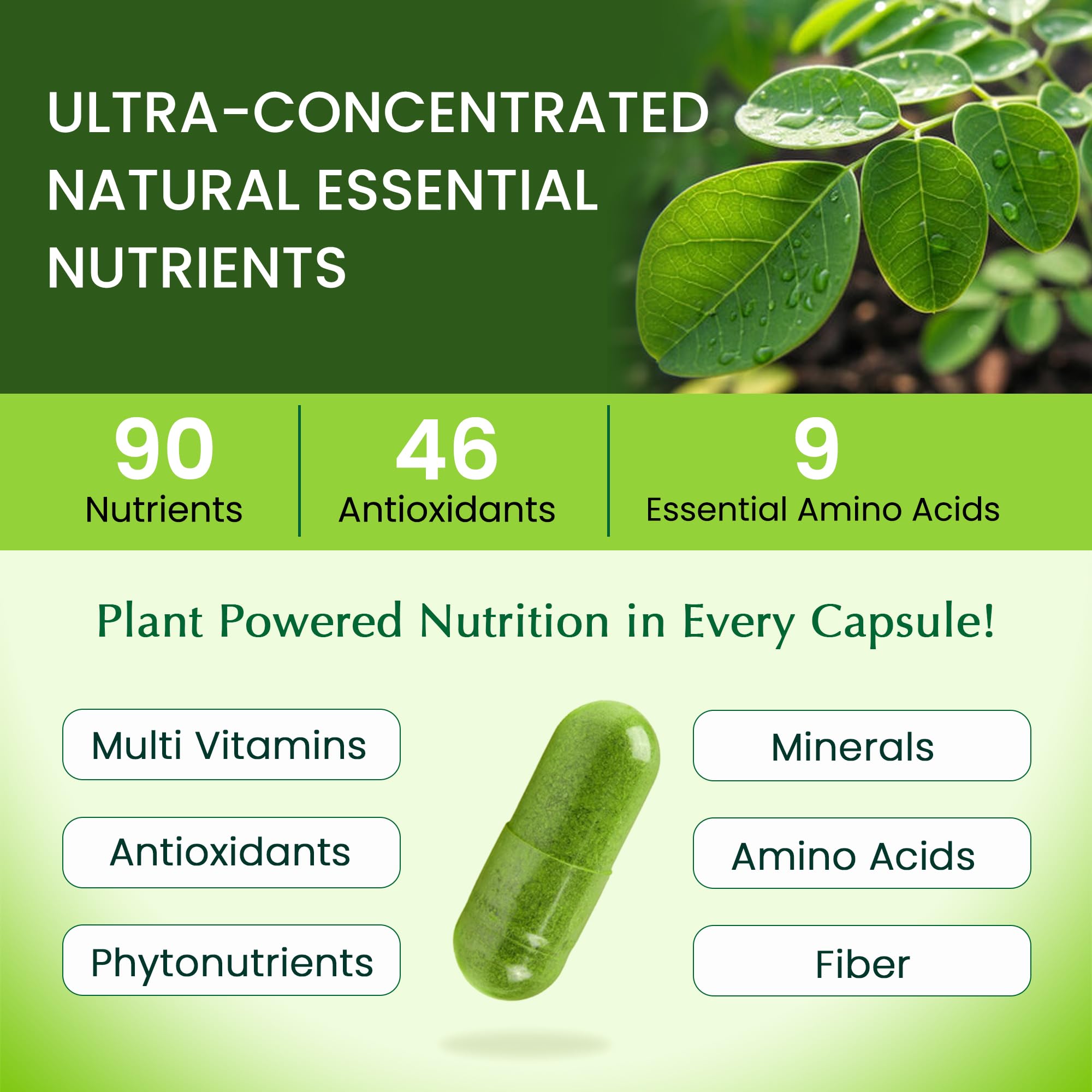 Organic Veda Moringa capsules arranged on table for daily routine.