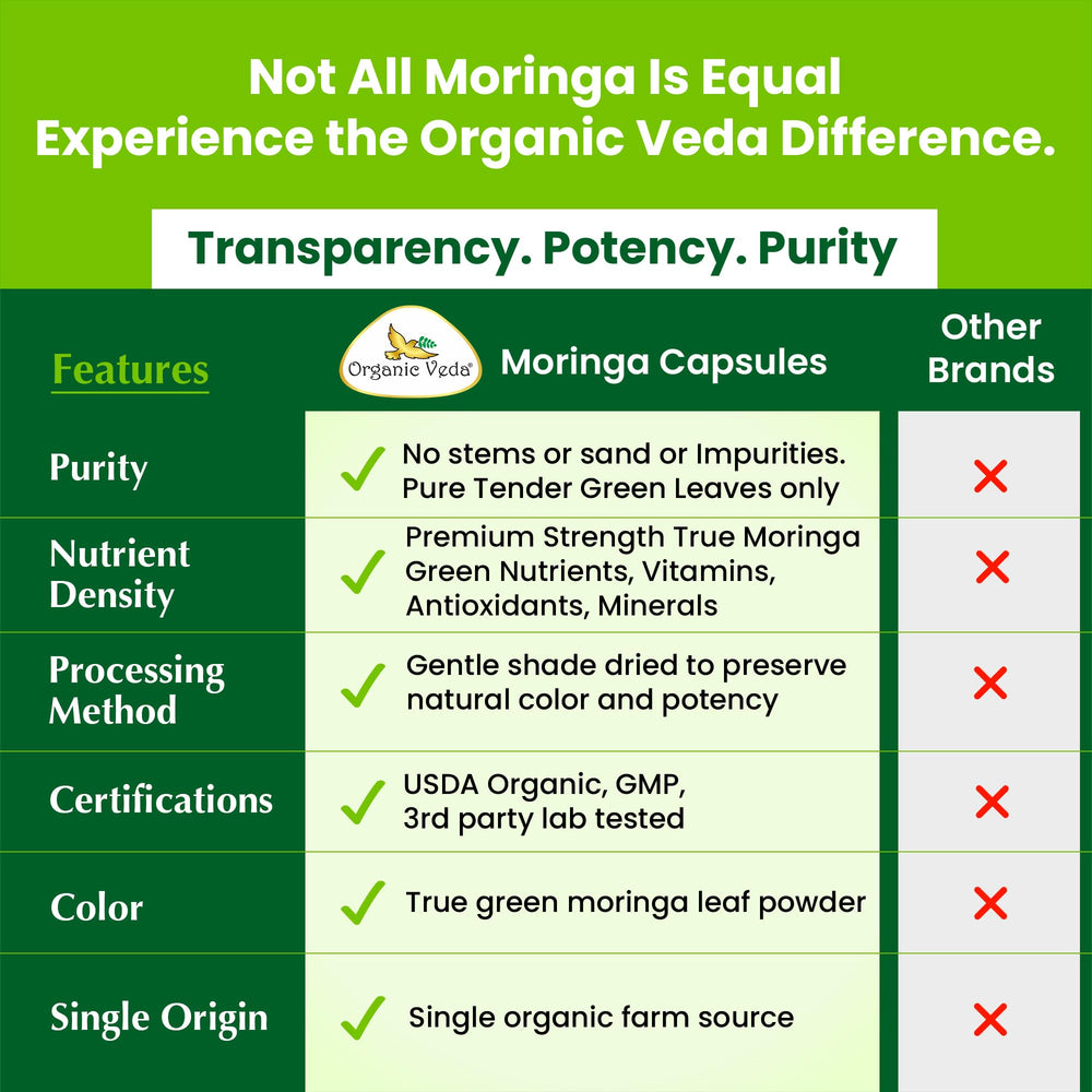 Organic Veda Moringa plant protein rich green powder in sunlight.