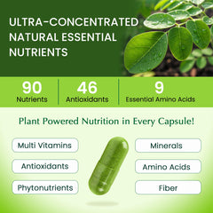 Organic Veda Moringa powder origin indicates single-origin leaves for purity.
