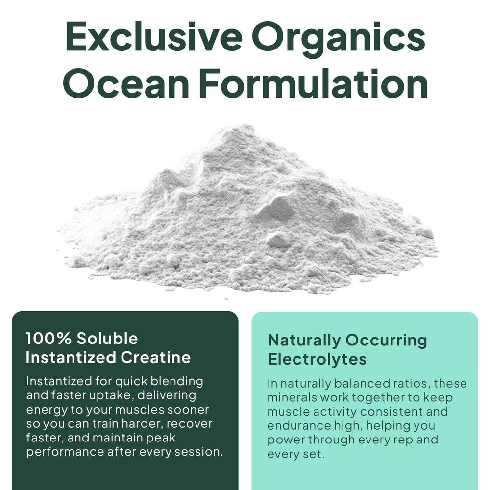 Organics Ocean Krealyte Fusion vegan, sugar-free formula for clean fueling