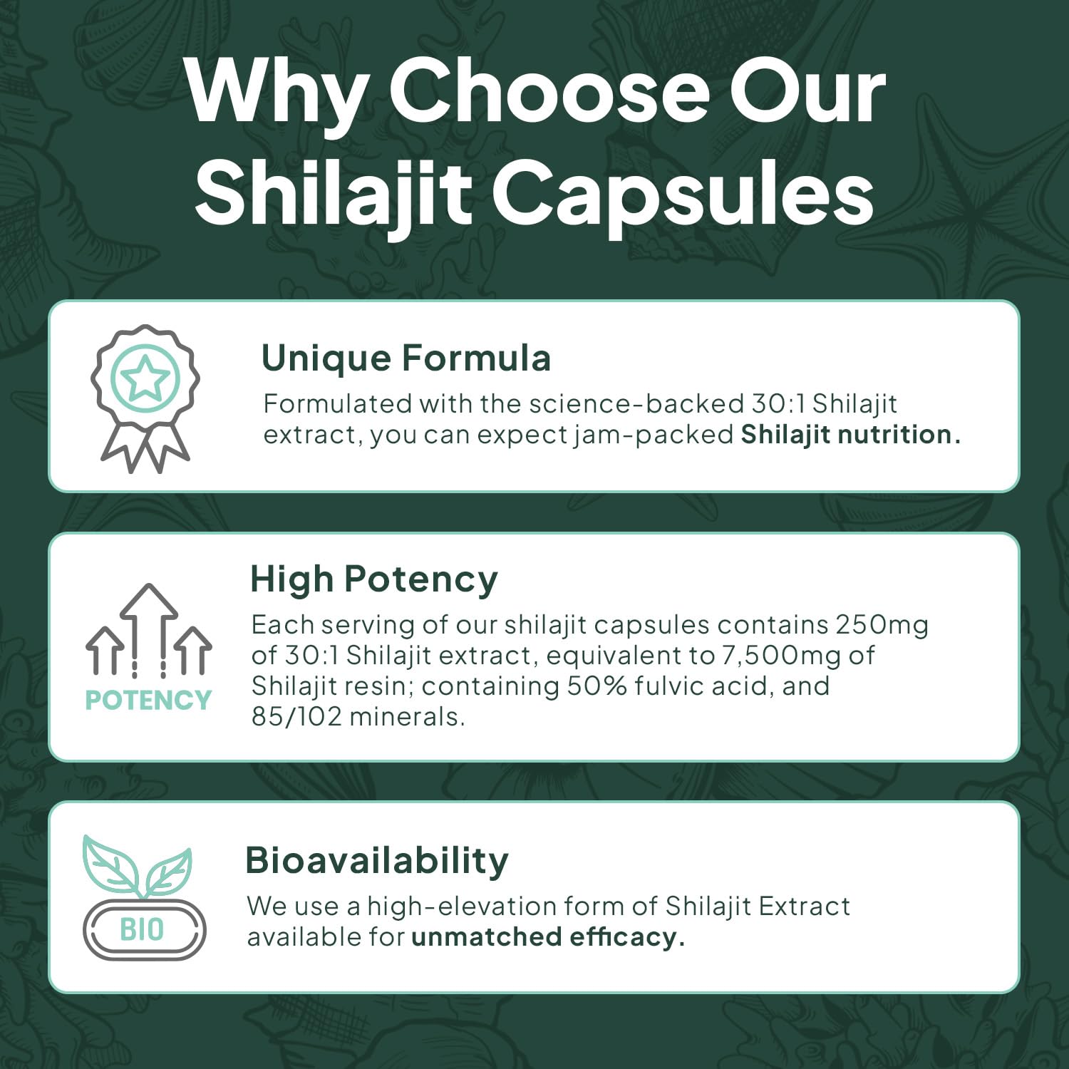 Organics Ocean One-Per-Day Shilajit capsule on a clean surface for daily routine.
