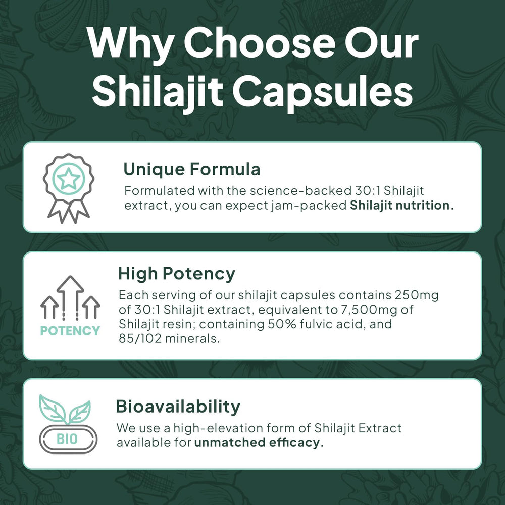 Organics Ocean One-Per-Day Shilajit capsule on a clean surface for daily routine.