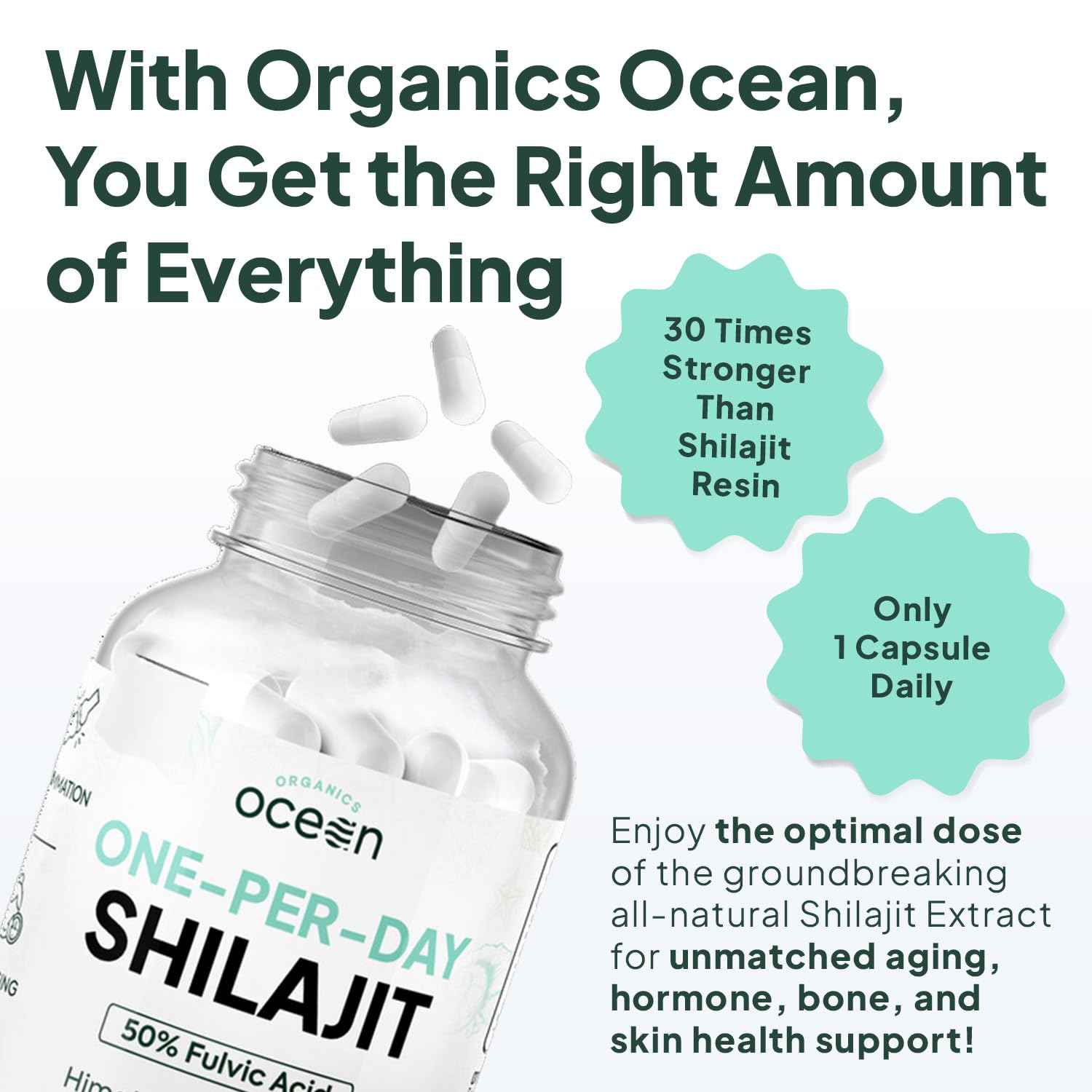 Organics Ocean One-Per-Day Shilajit capsule close-up highlighting potency for daily use.
