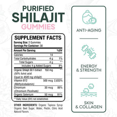 Organics Ocean Shilajit Gummies label close-up highlights minerals and B12 for vitality